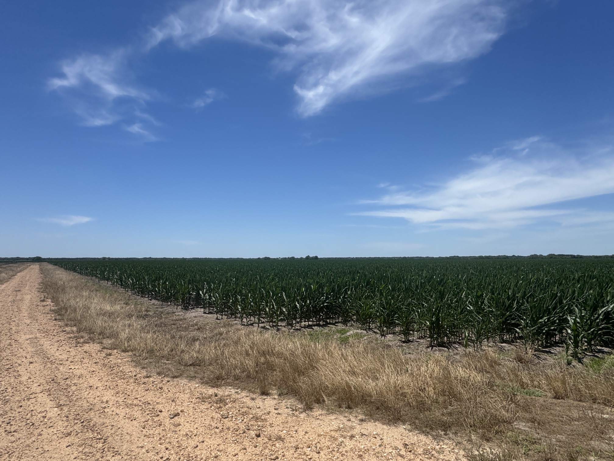 Tbd Cr 335 Road Property Photo 2