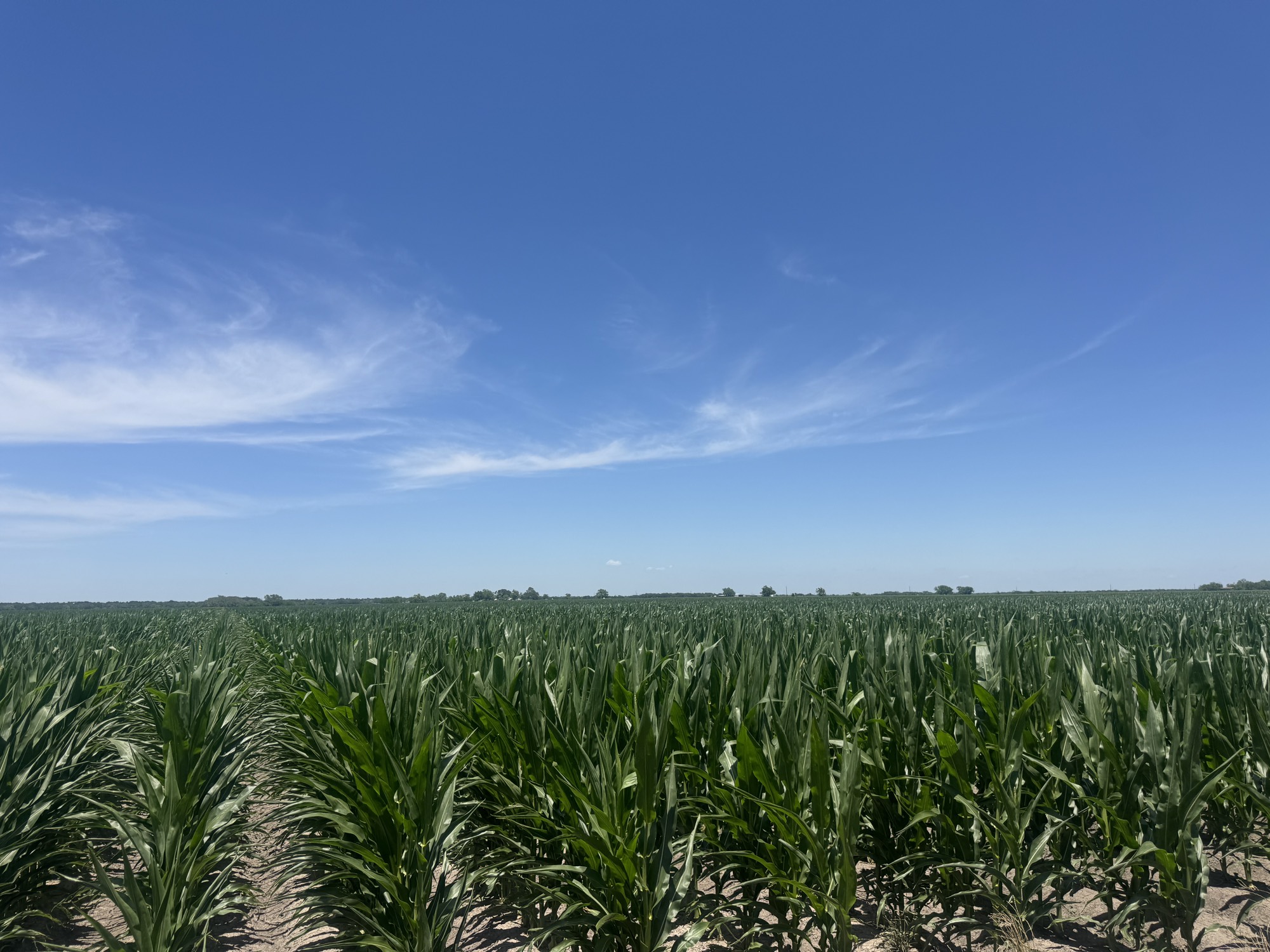 Tbd Cr 335 Road Property Photo 4