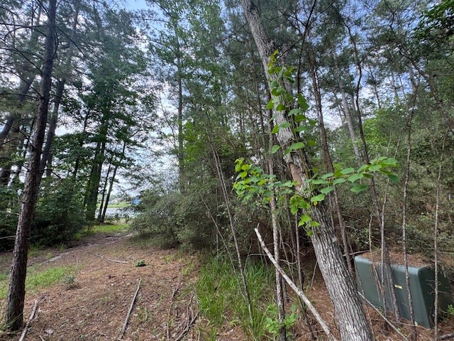 91 Meadow Lake Drive Property Photo 4
