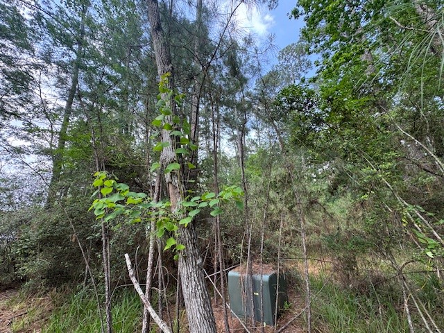 91 Meadow Lake Drive Property Photo 10