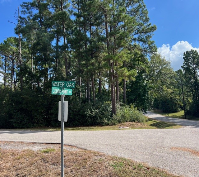 116 Water Oak Property Photo 1