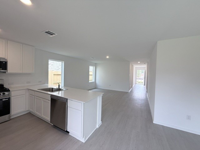 31520 Olivella Drive Property Photo 5