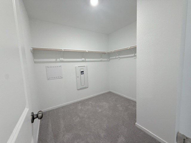 31520 Olivella Drive Property Photo 12