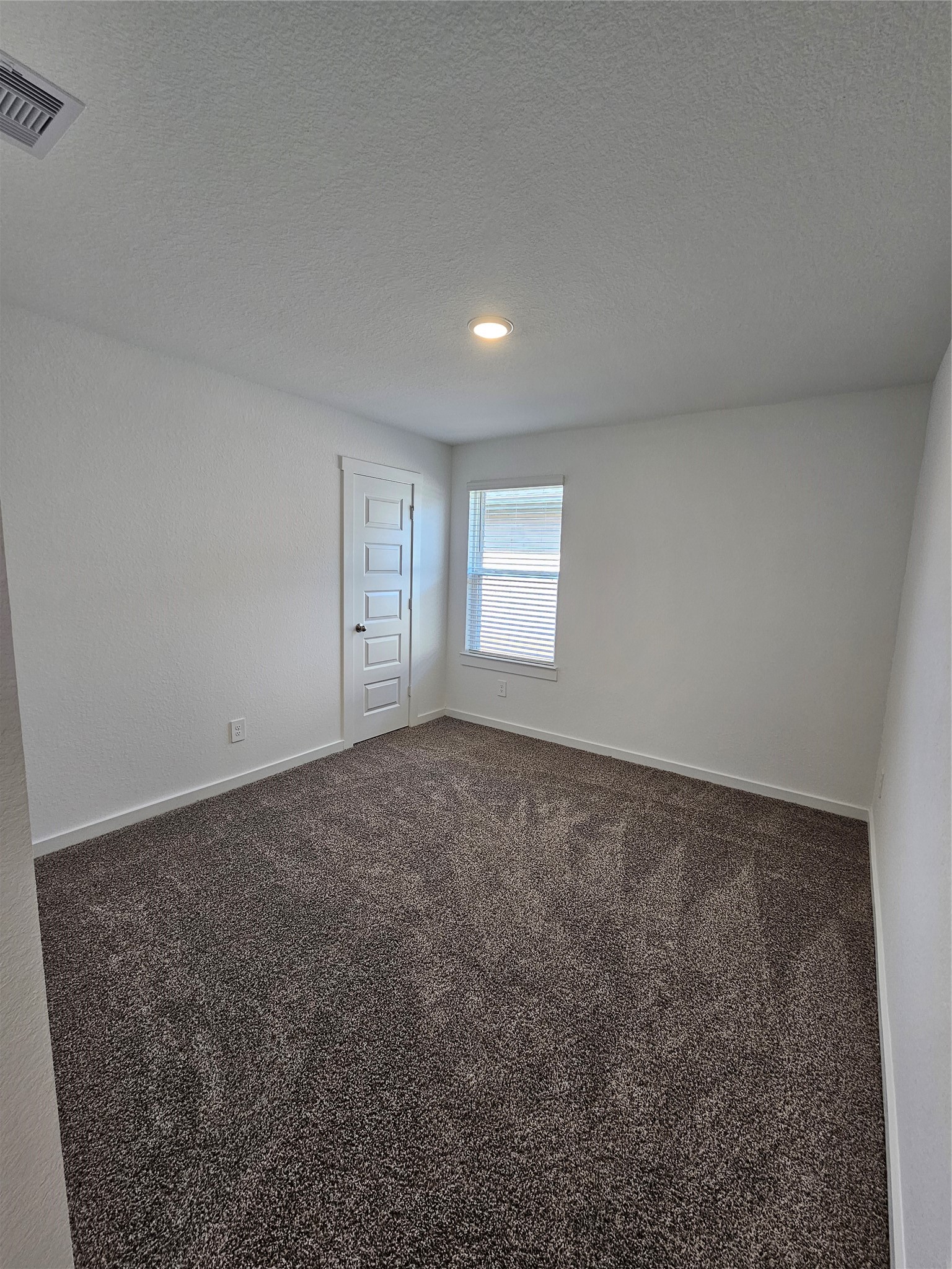 30018 Foxtail Pine Court Property Photo 14