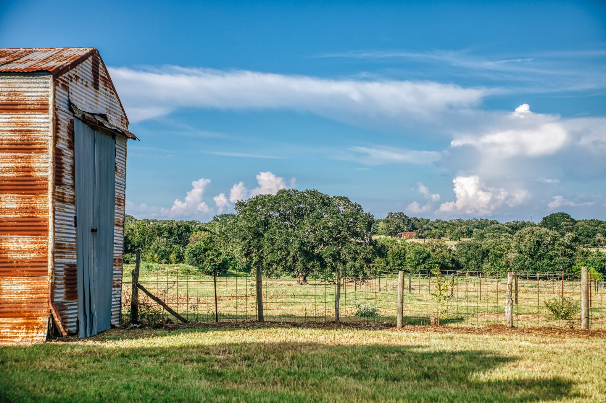 9102 Fm 2621 Property Photo 25