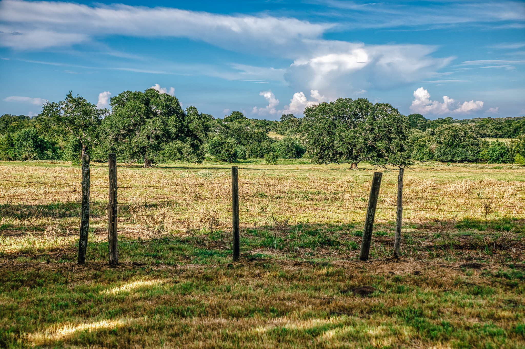 9102 Fm 2621 Property Photo 27