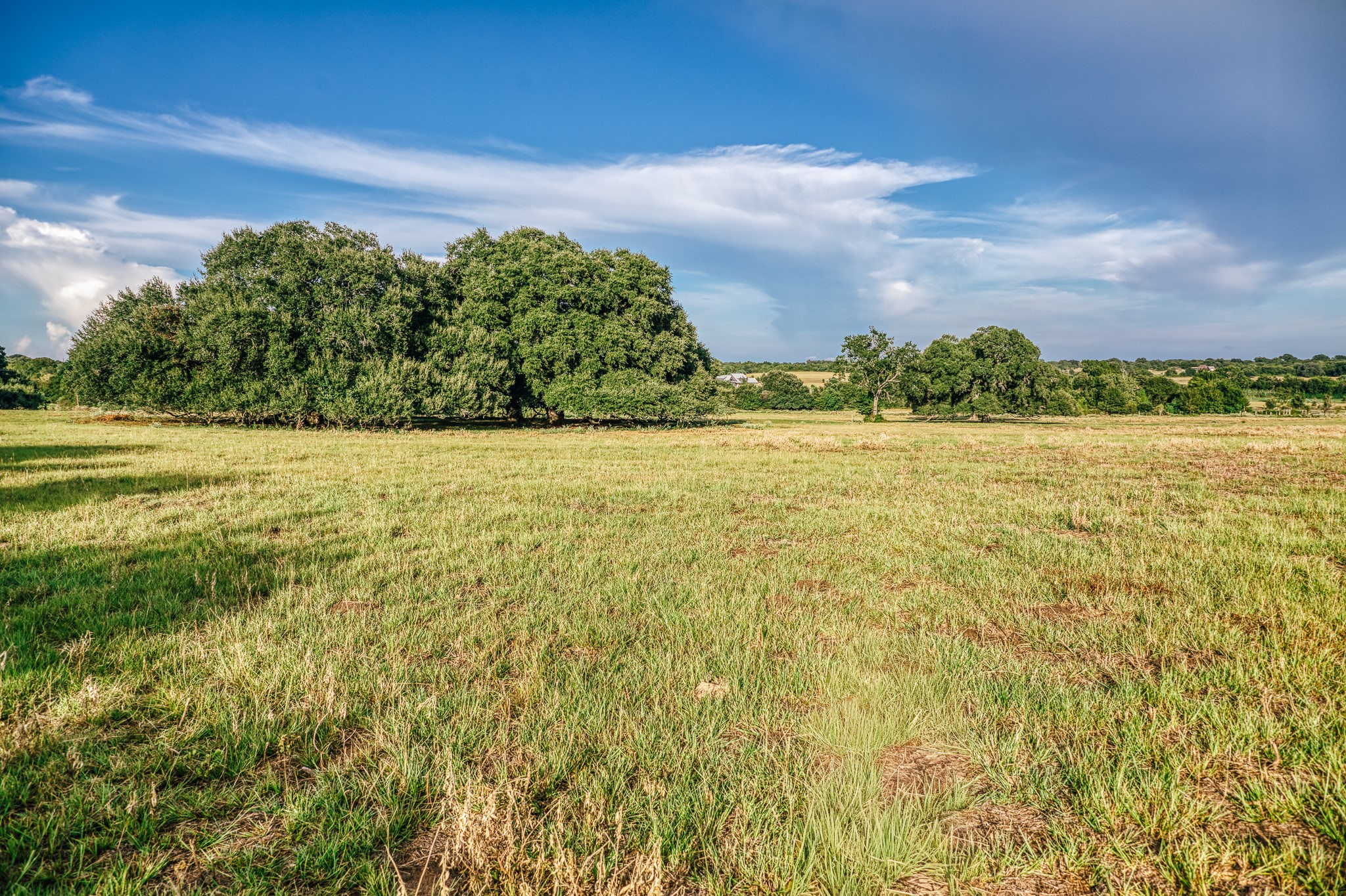 9102 Fm 2621 Property Photo 29