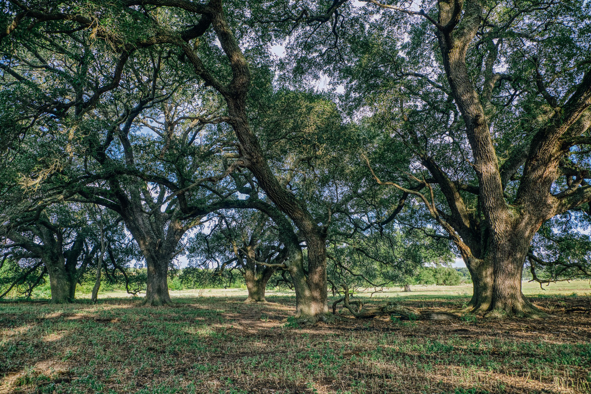 9102 Fm 2621 Property Photo 30