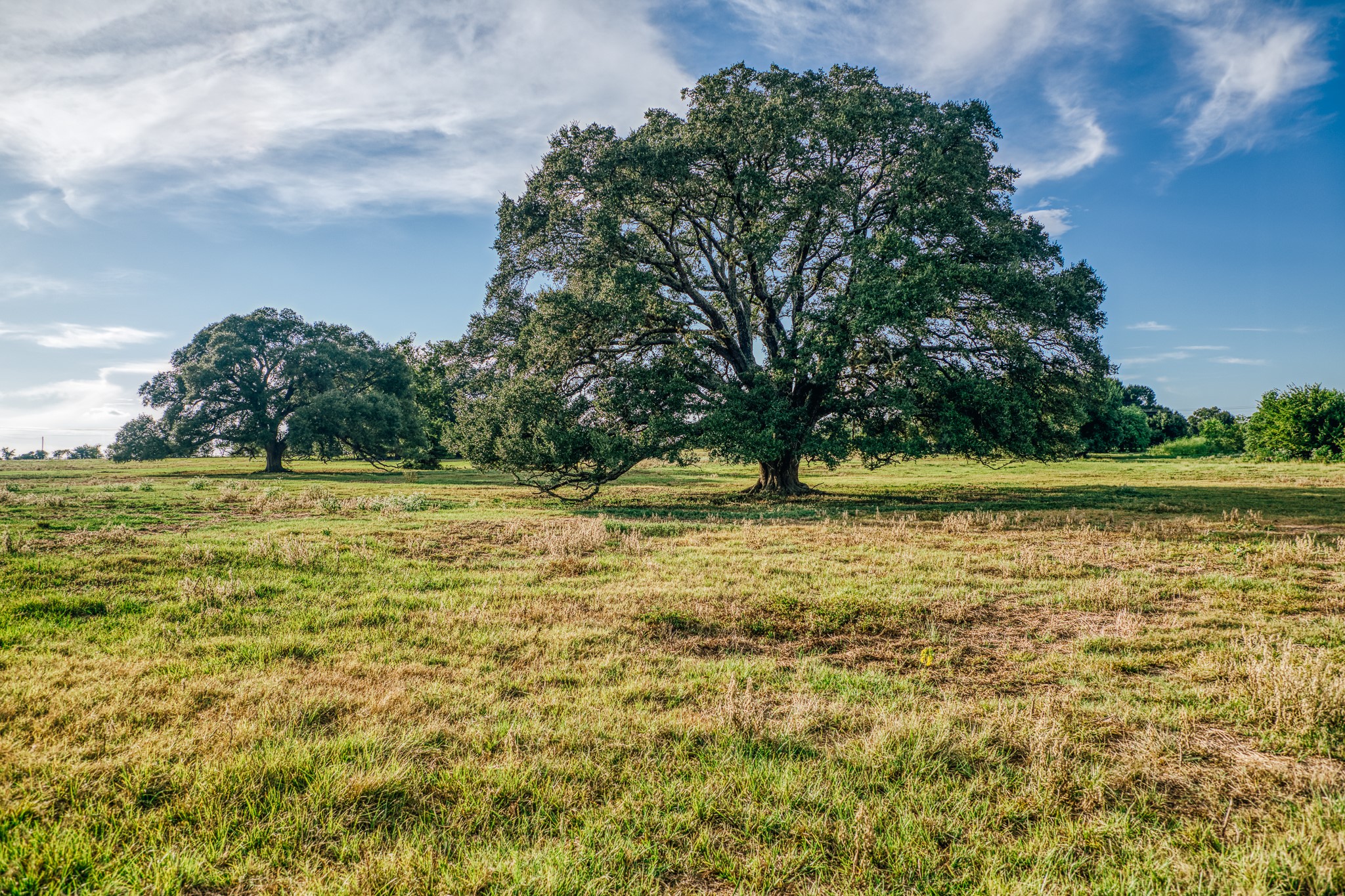 9102 Fm 2621 Property Photo 34