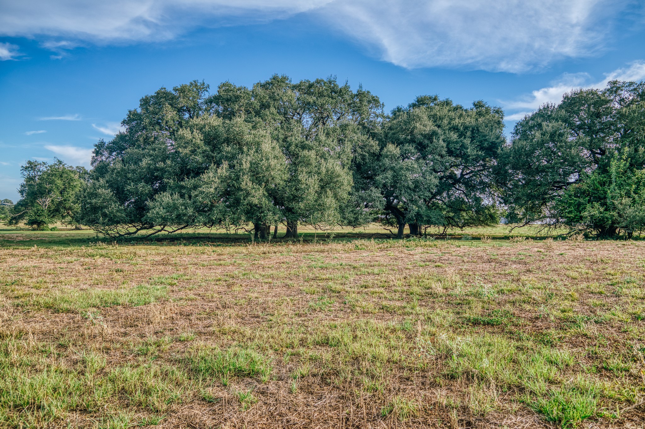 9102 Fm 2621 Property Photo 35