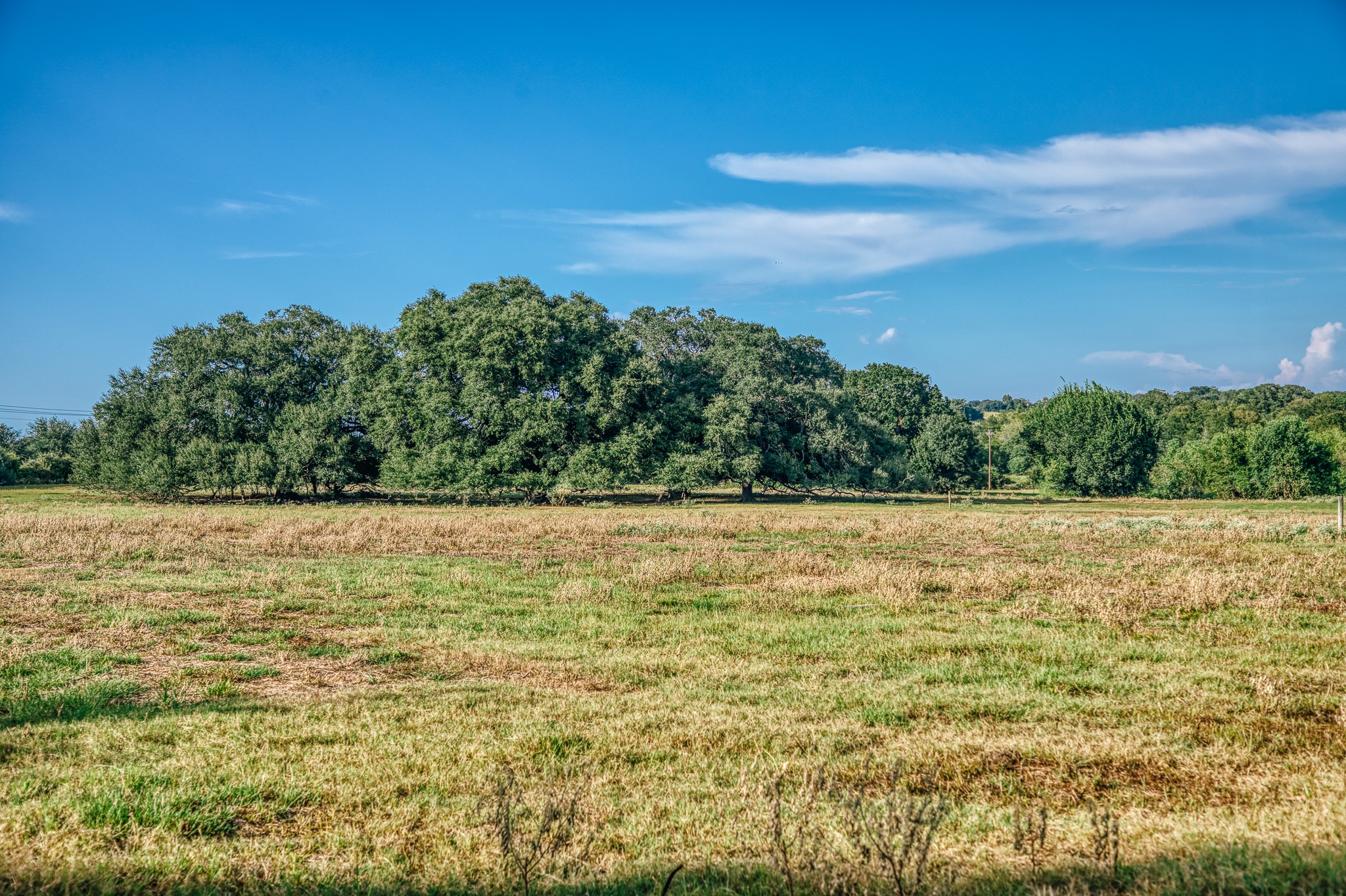 9102 Fm 2621 Property Photo 45