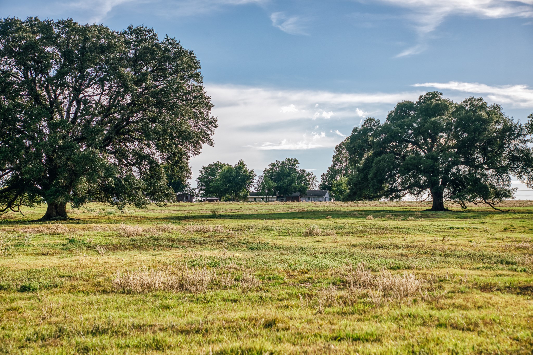 9102 Fm 2621 Property Photo 50