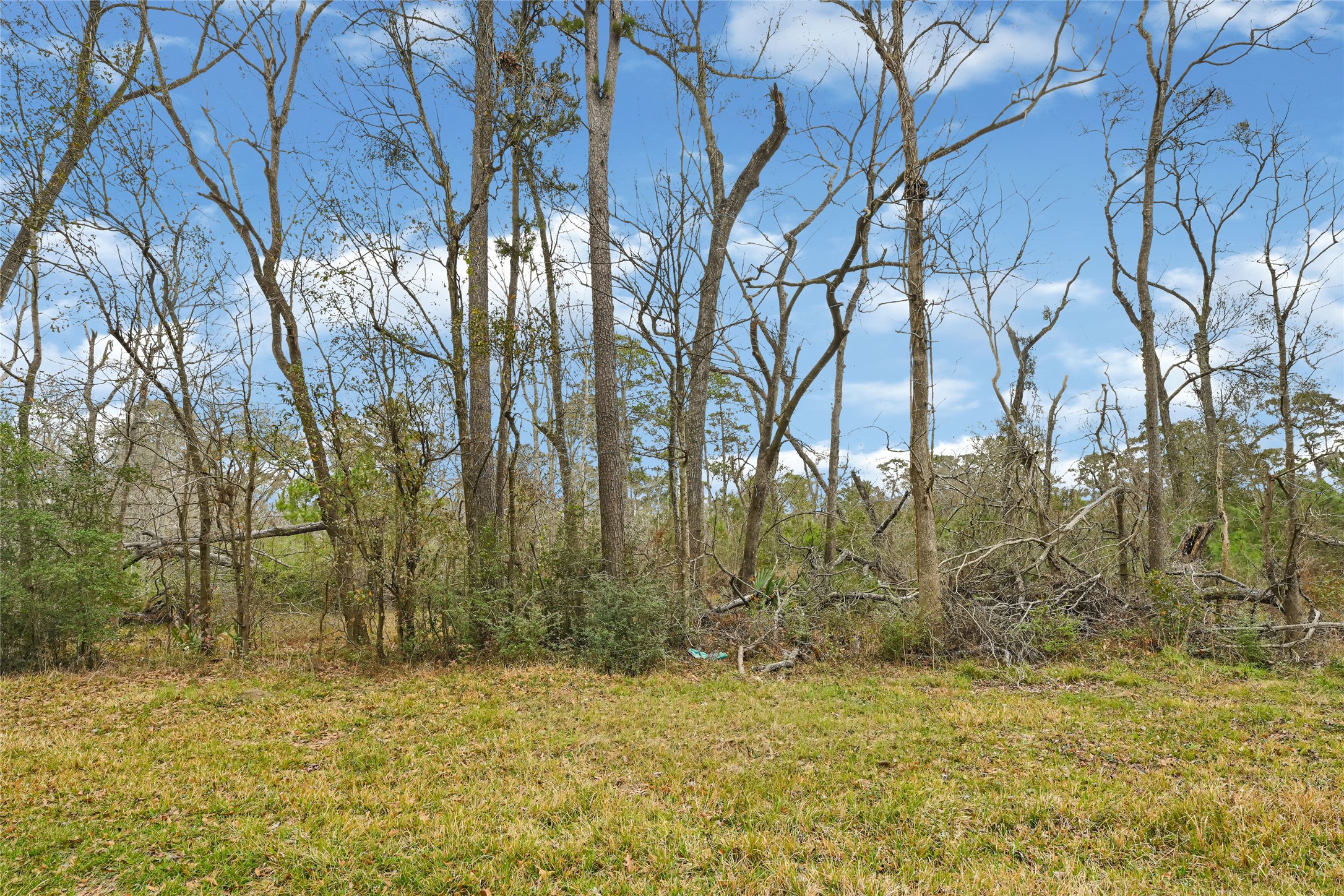 12202 Indian Oaks Ln Property Photo 3