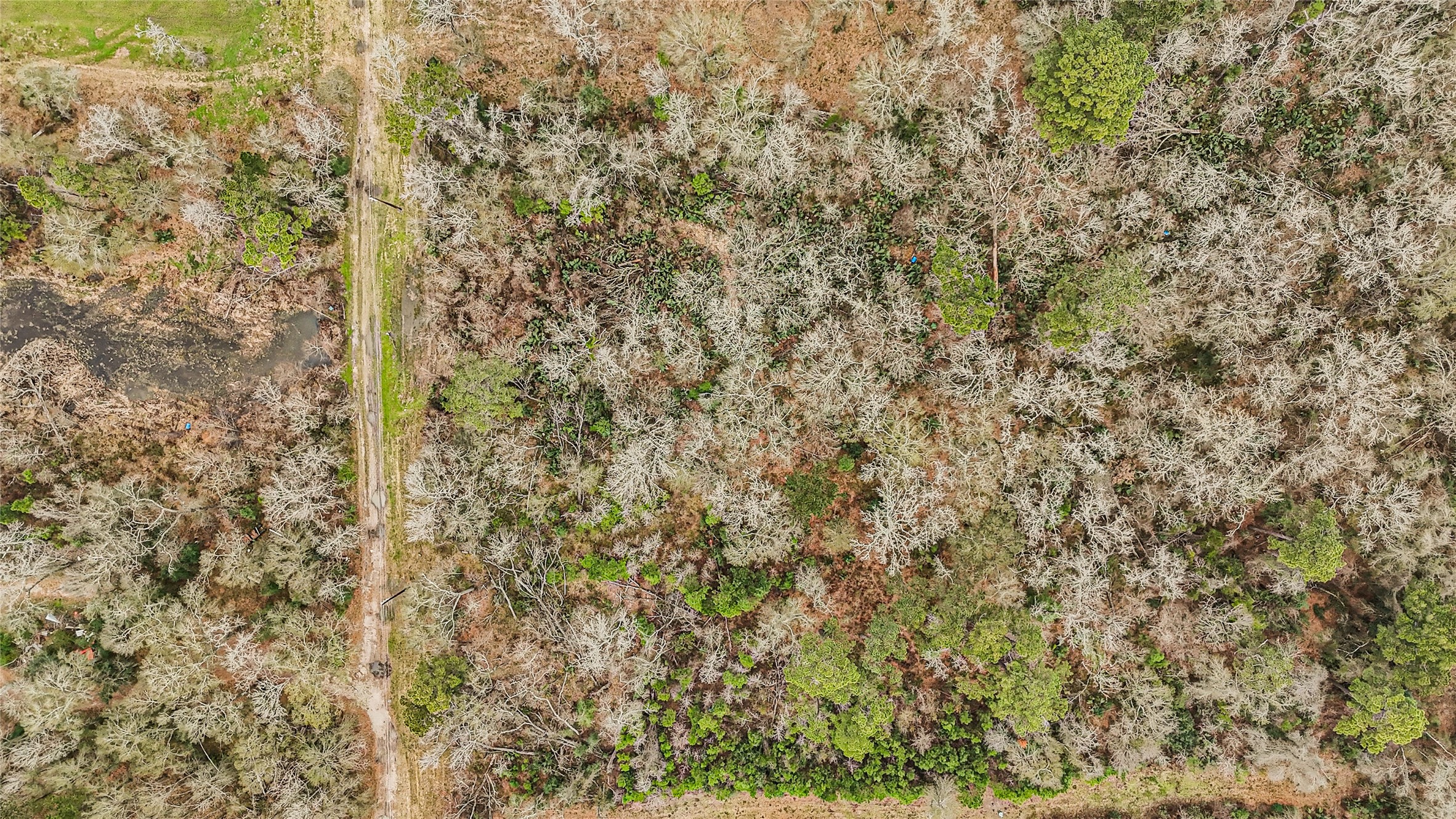 12202 Indian Oaks Ln Property Photo 9