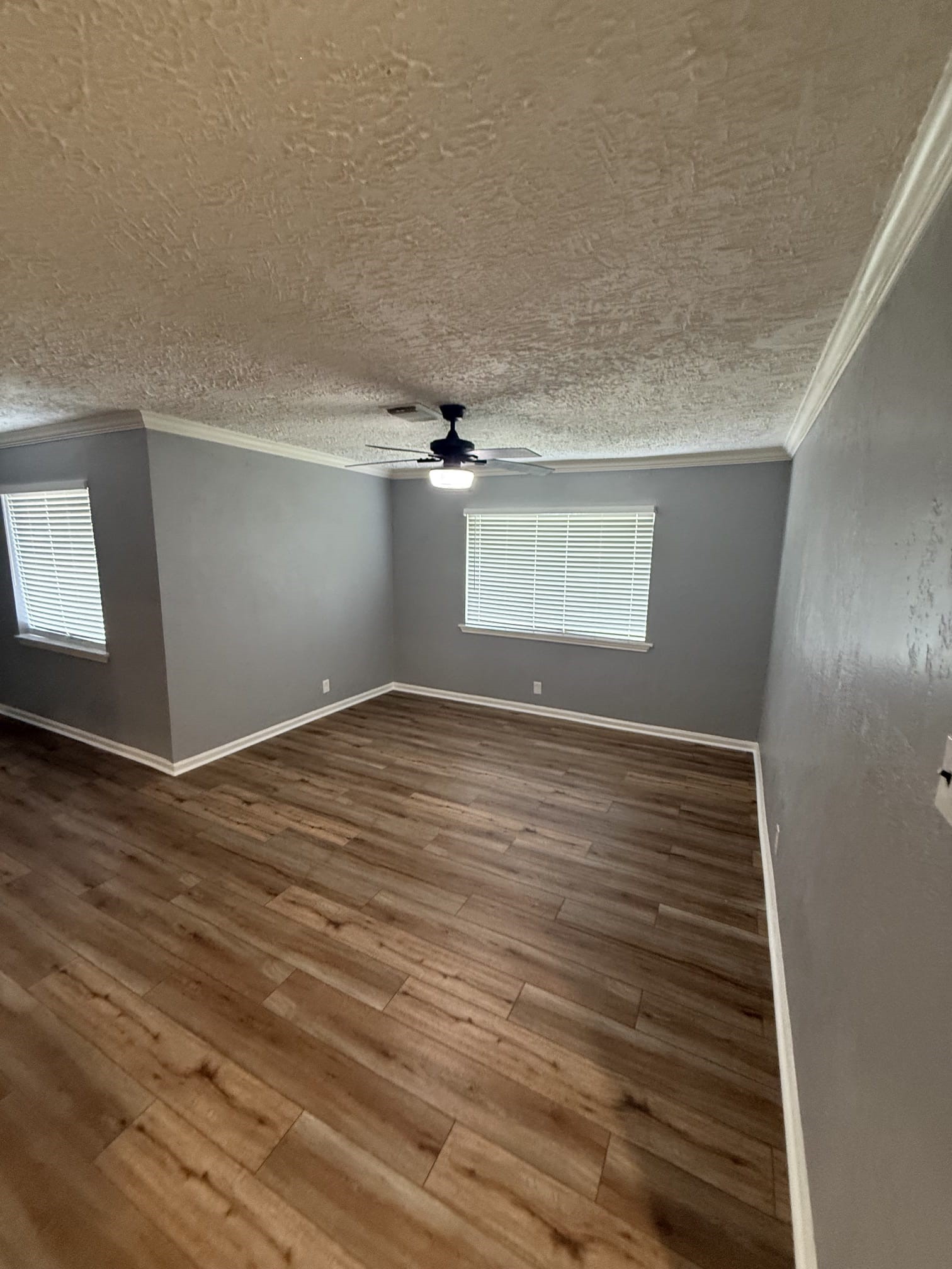 5218 Cortelyou Lane Property Photo 6