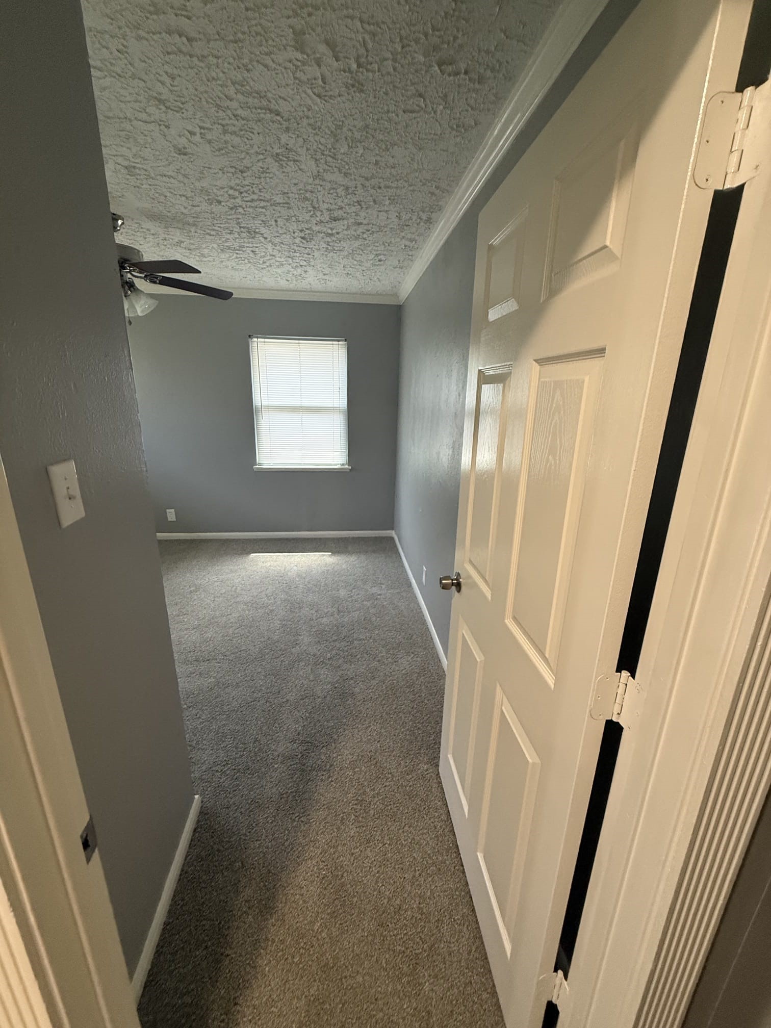 5218 Cortelyou Lane Property Photo 8