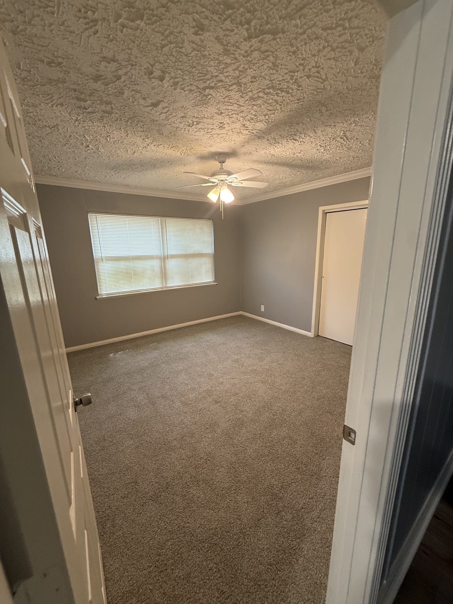 5218 Cortelyou Lane Property Photo 12