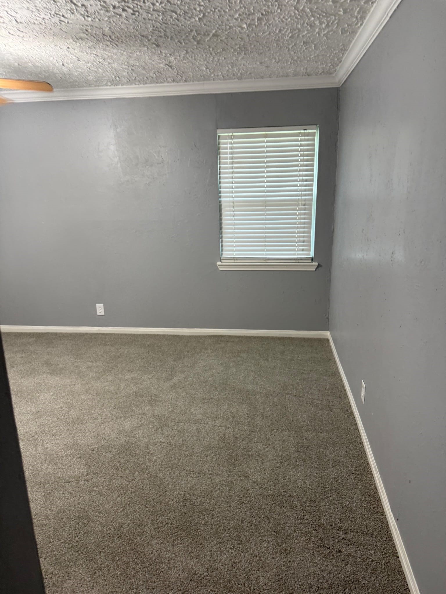 5218 Cortelyou Lane Property Photo 18