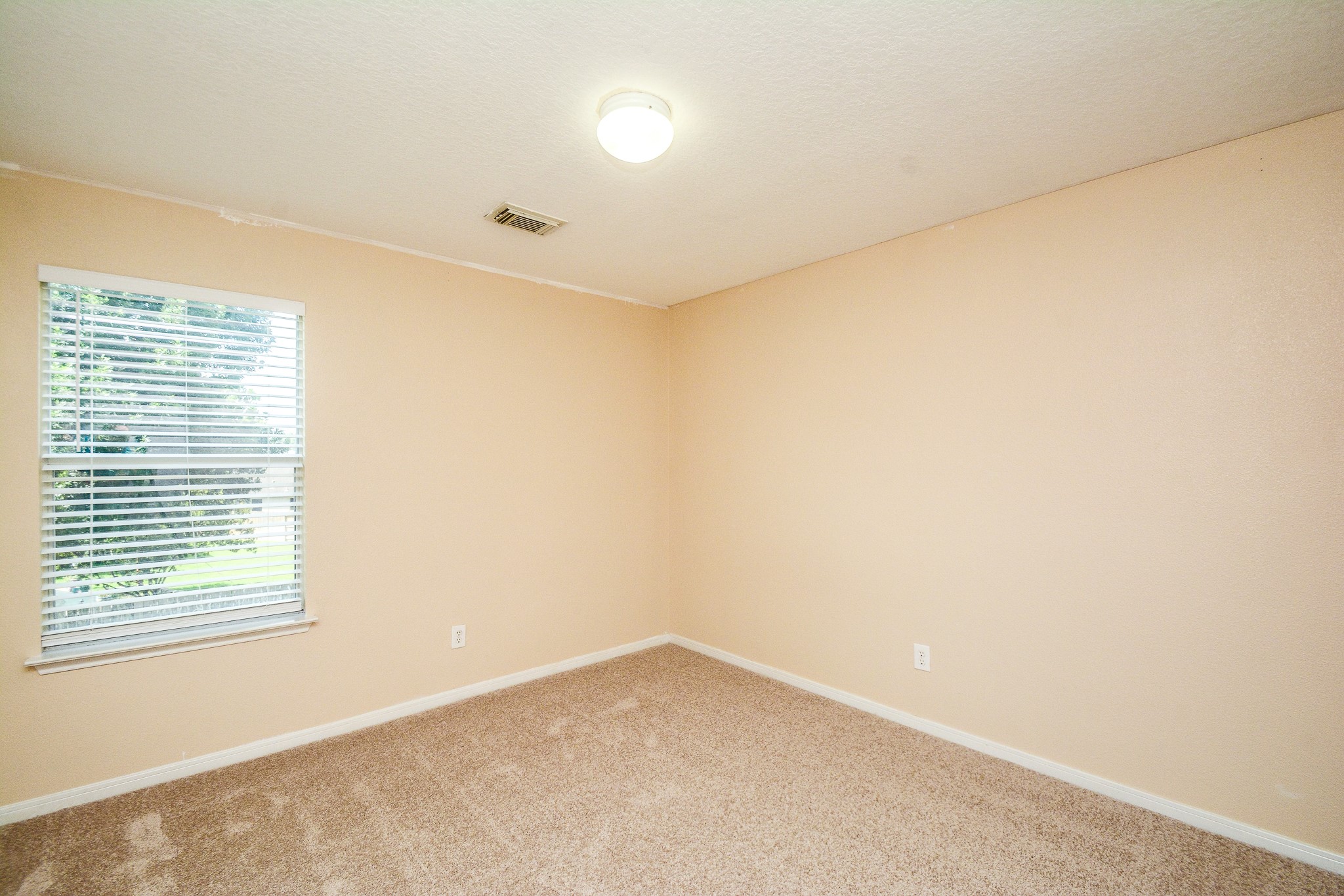 18507 Lodgepole Pine Street Property Photo 12