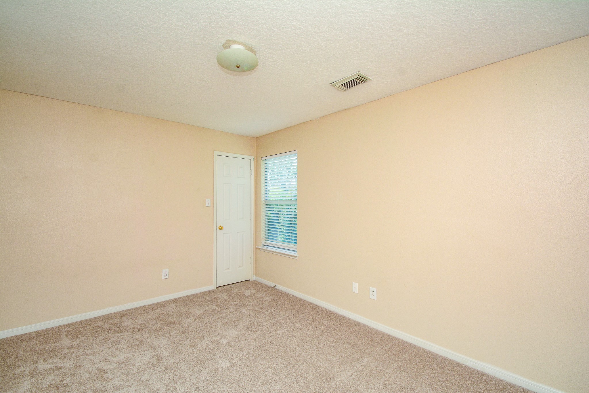 18507 Lodgepole Pine Street Property Photo 13