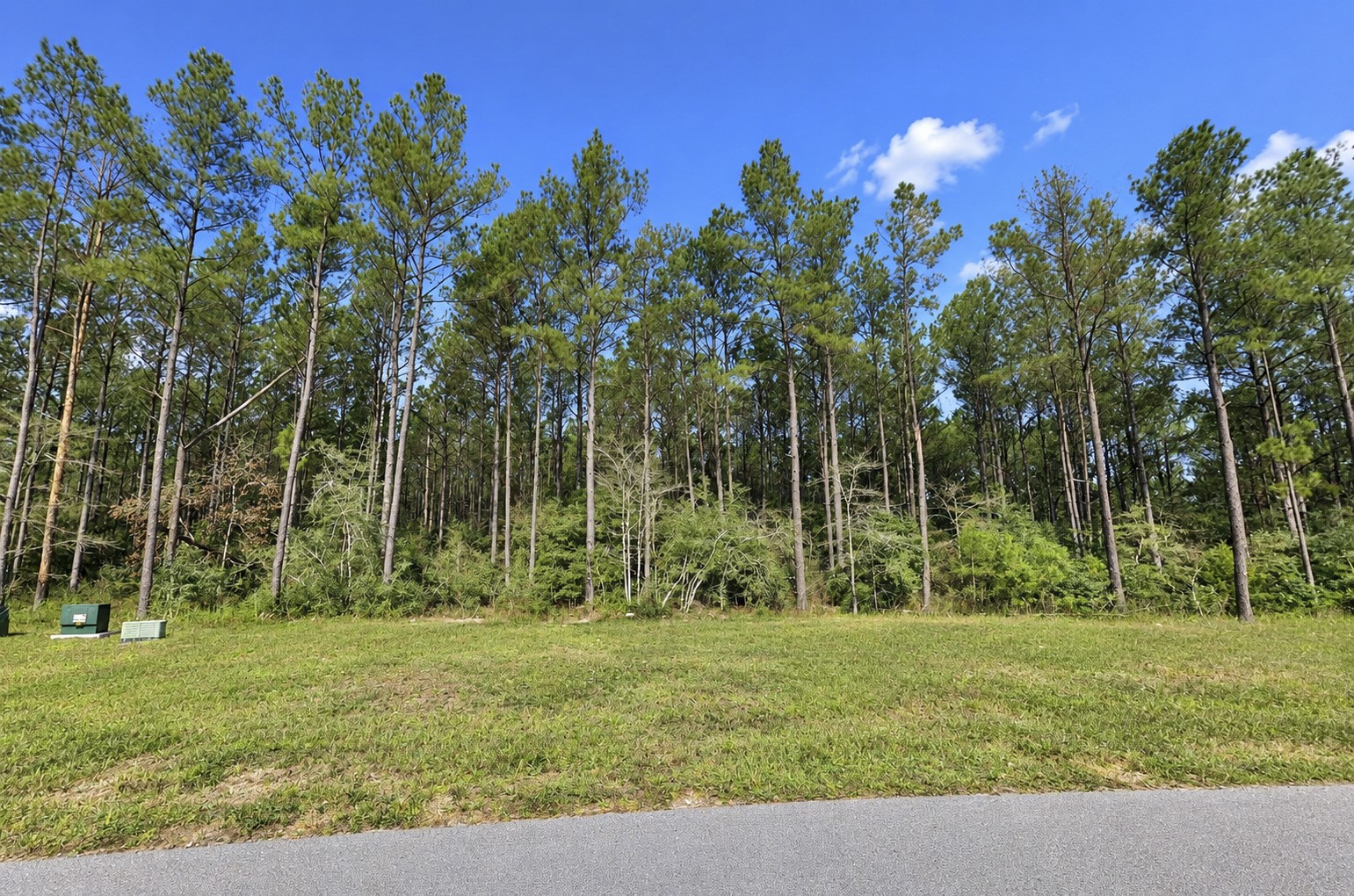 15321 Forest Grove Drive Property Photo 4