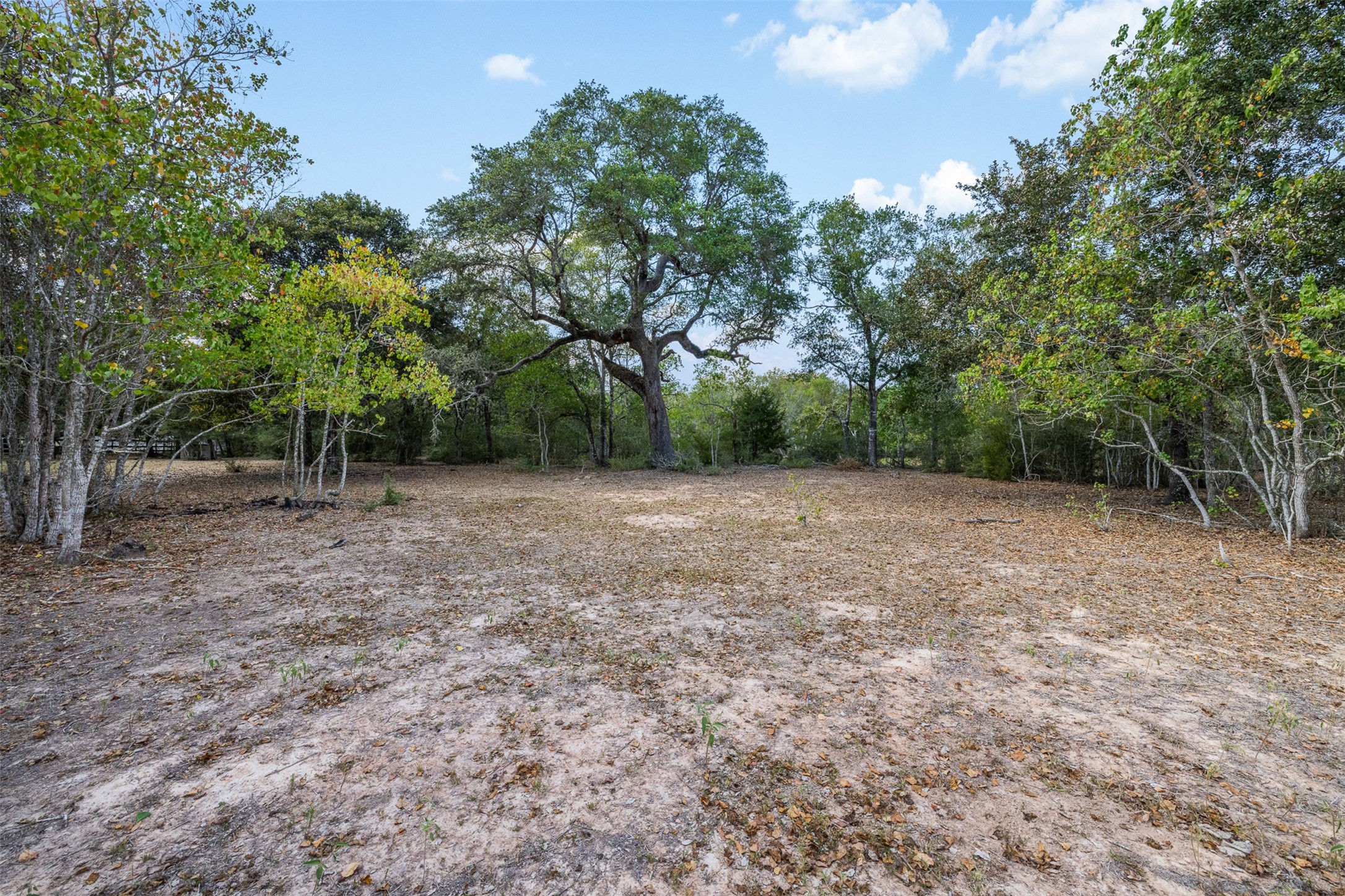 1141 Reeves Road Property Photo 31