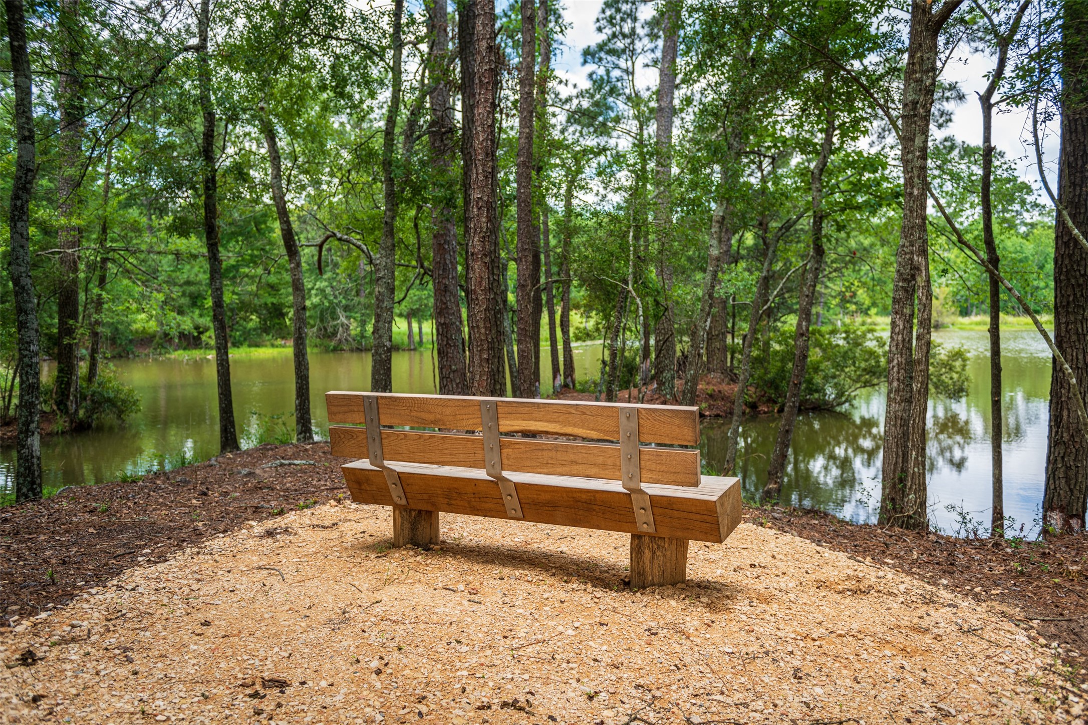 14607 Cedar Elm Court Property Photo 7