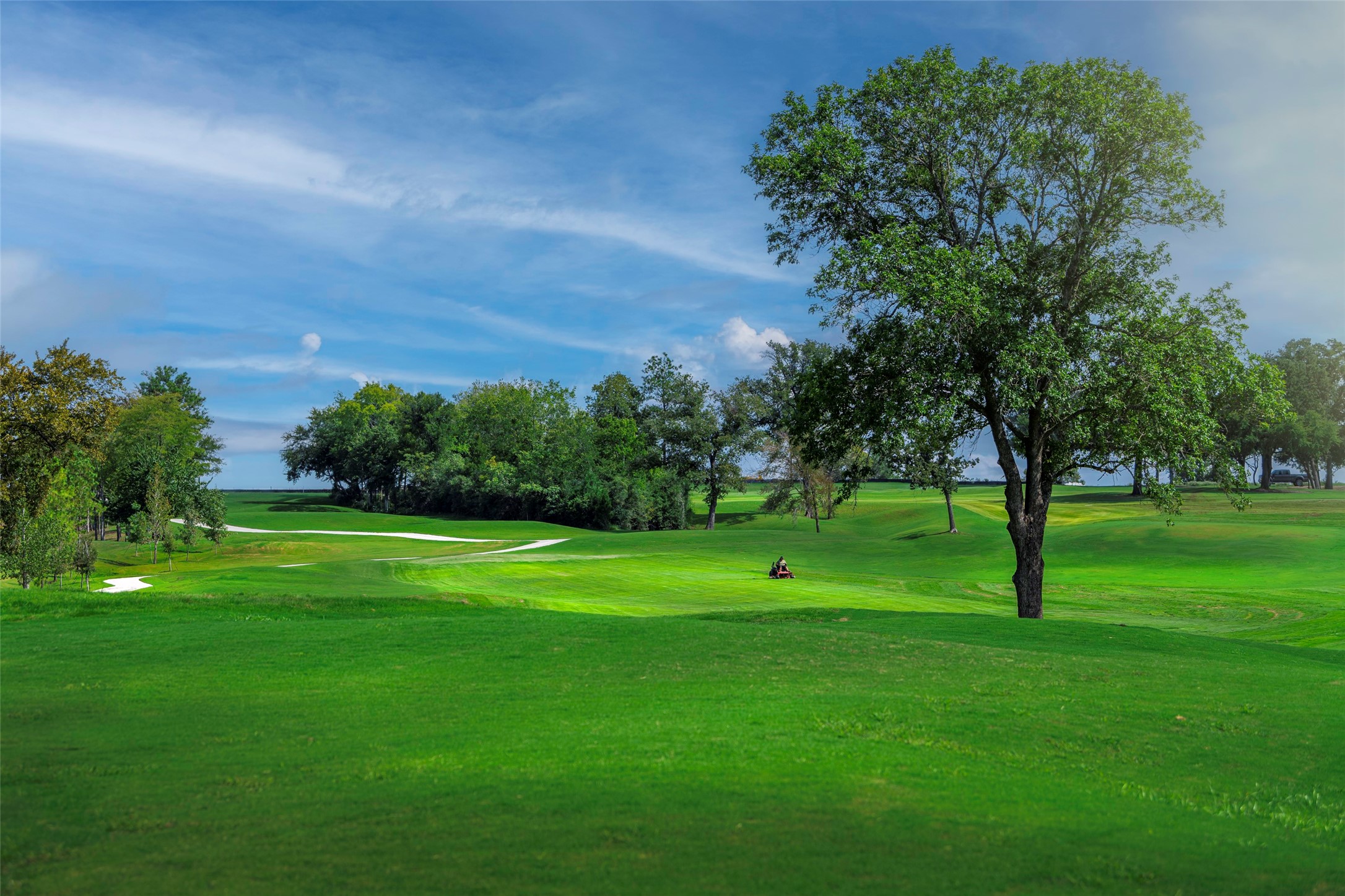 14607 Cedar Elm Court Property Photo 10