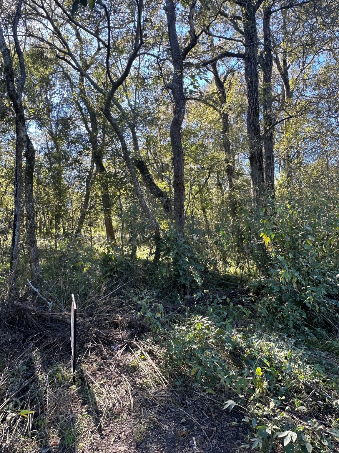 0 Oak Forest Drive Property Photo 1