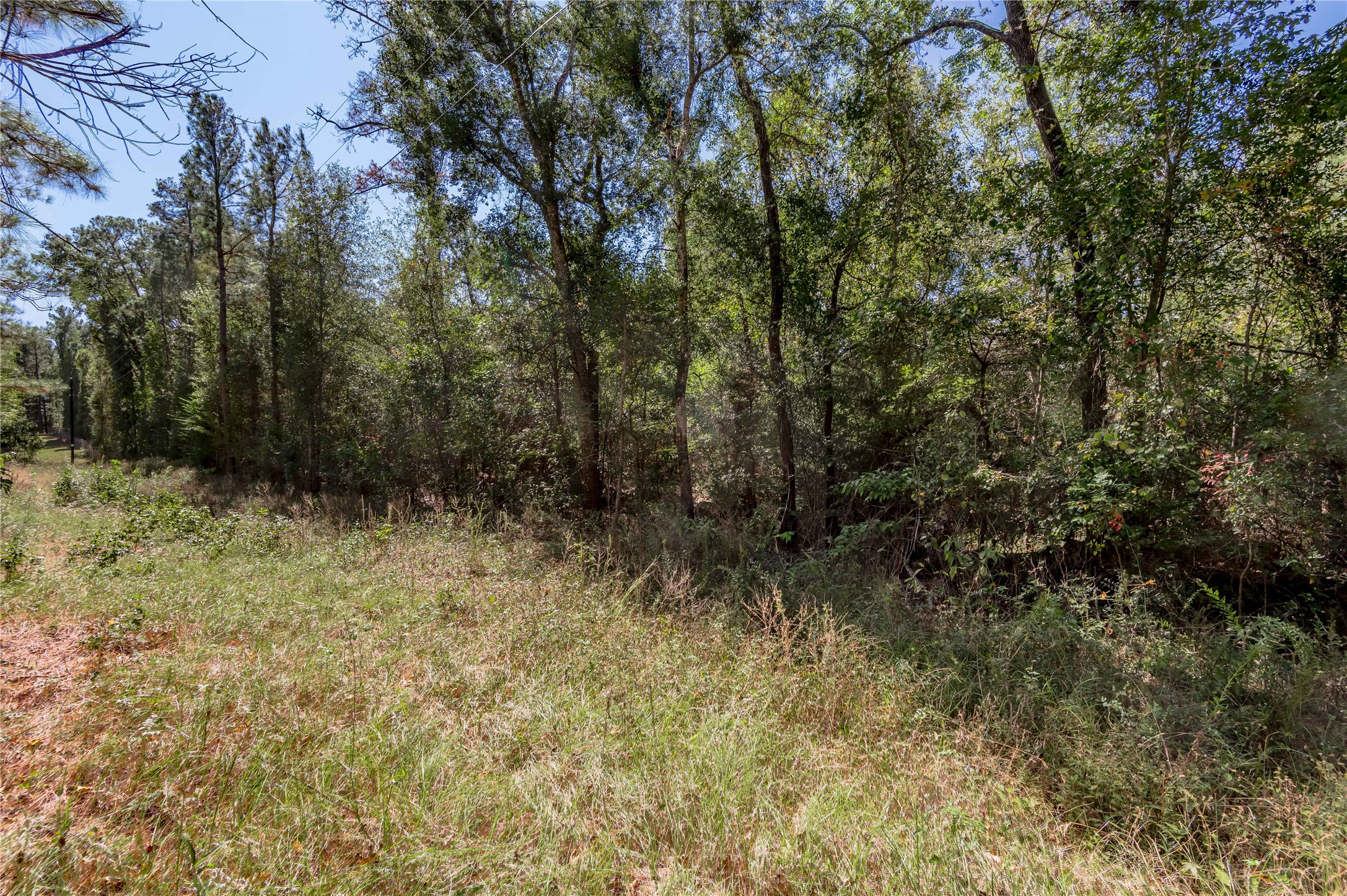 3.38 +/- Acres Arrowhead Drive Property Photo 4