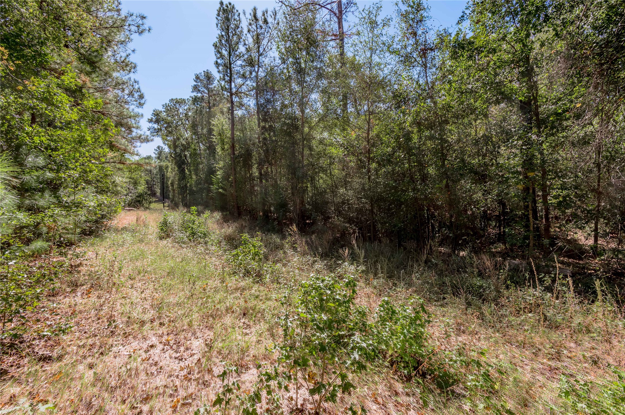 3.38 +/- Acres Arrowhead Drive Property Photo 5