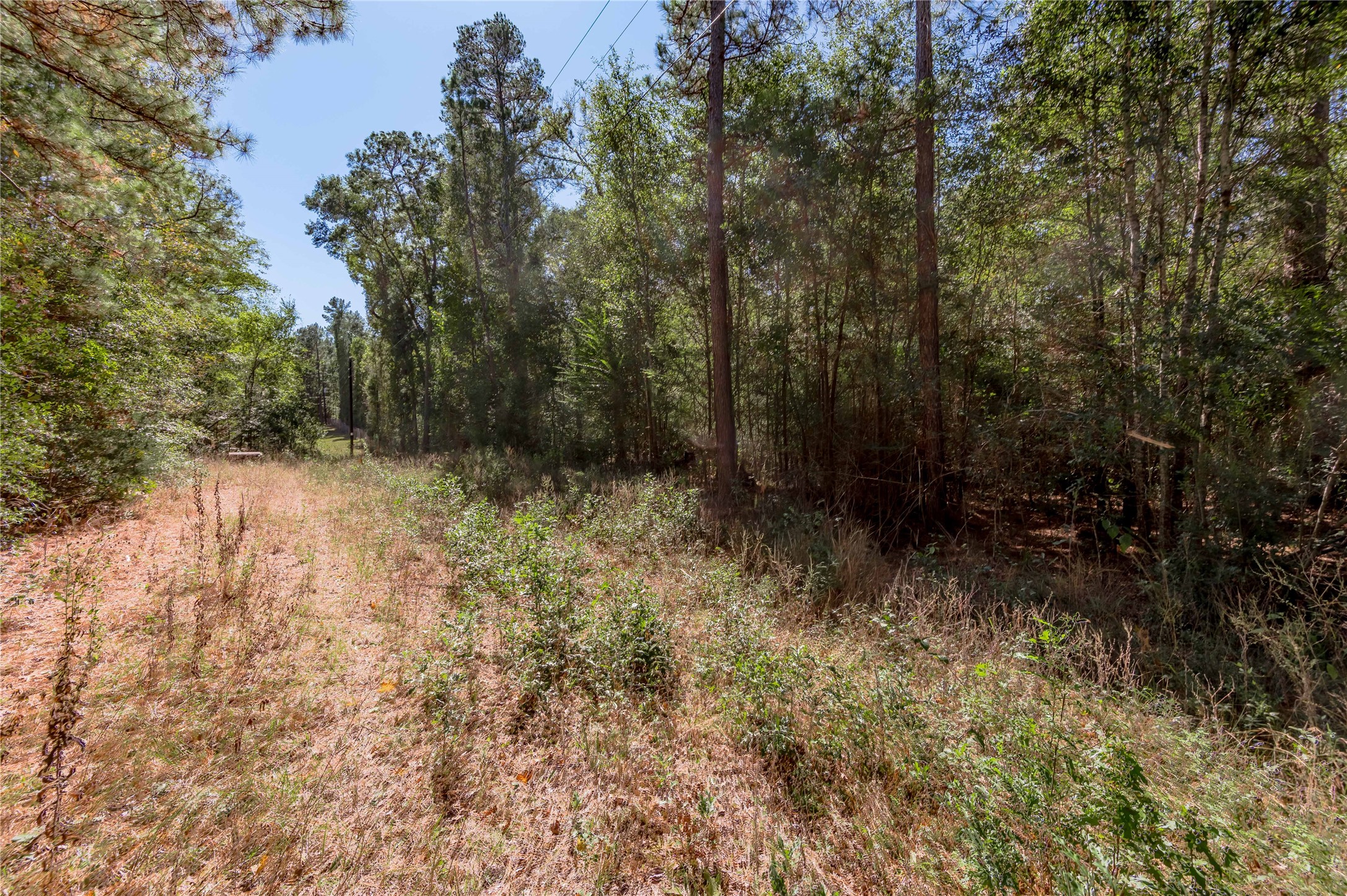 3.38 +/- Acres Arrowhead Drive Property Photo 6