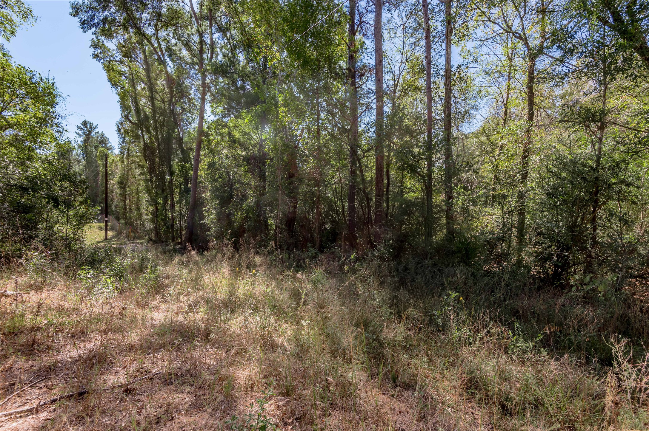 3.38 +/- Acres Arrowhead Drive Property Photo 7