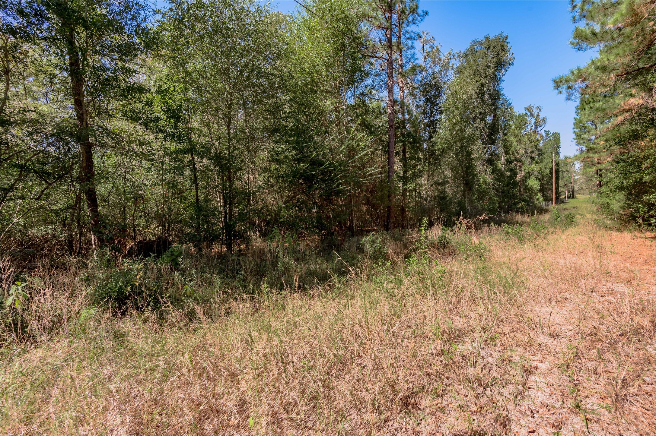 3.38 +/- Acres Arrowhead Drive Property Photo 8