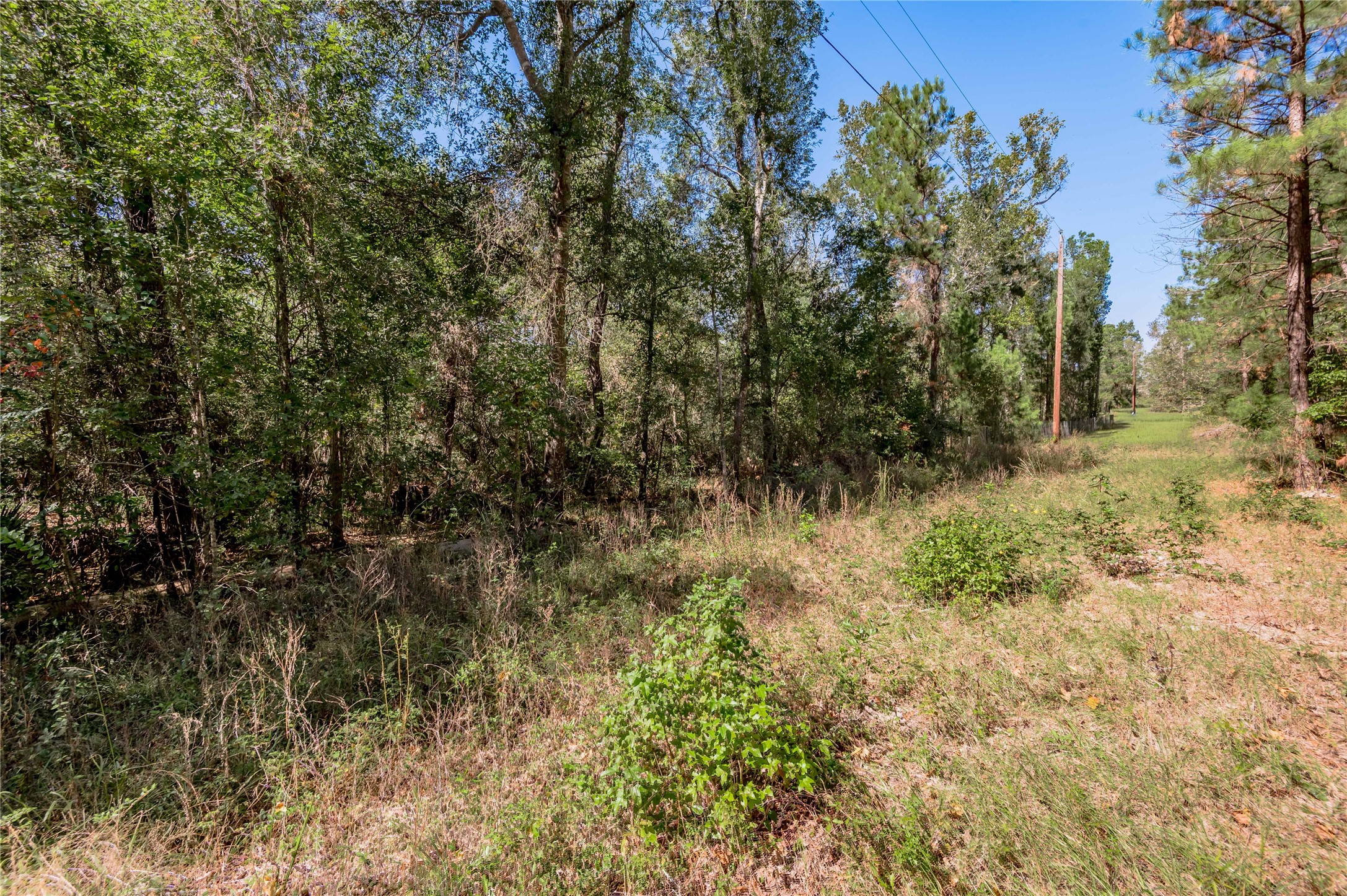 3.38 +/- Acres Arrowhead Drive Property Photo 9