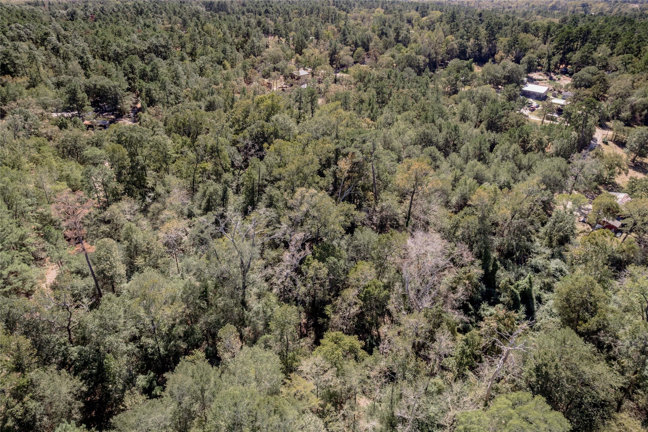 3.38 +/- Acres Arrowhead Drive Property Photo 10