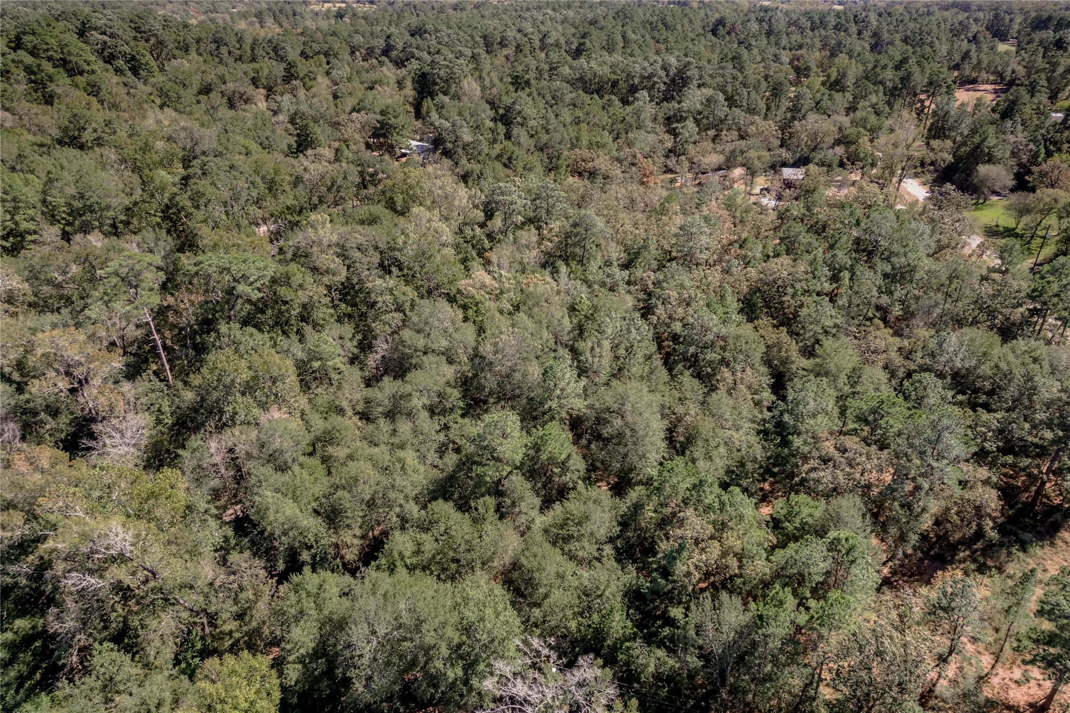 3.38 +/- Acres Arrowhead Drive Property Photo 11