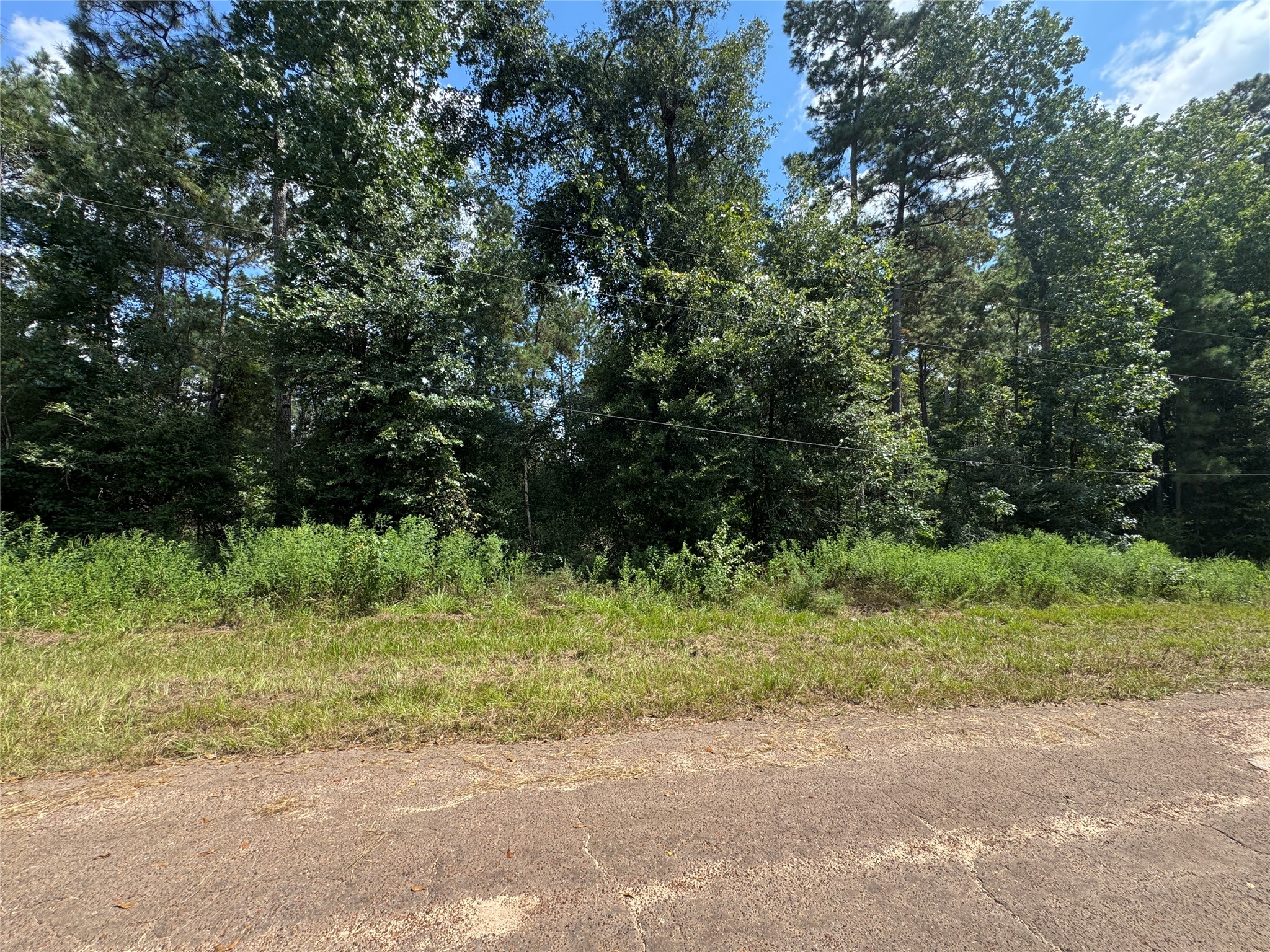 0 Mcrae Circle Property Photo 1