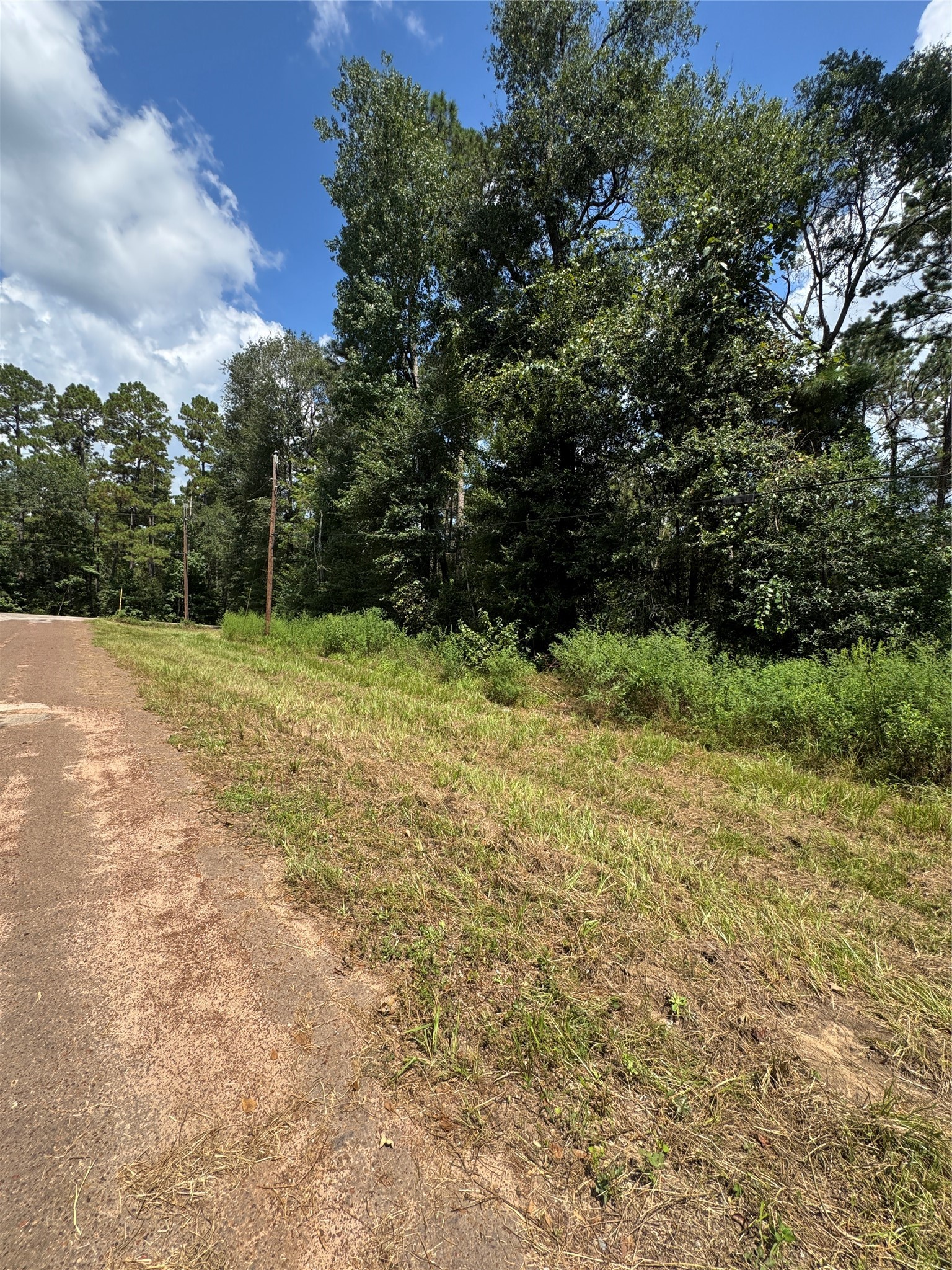 0 Mcrae Circle Property Photo 4