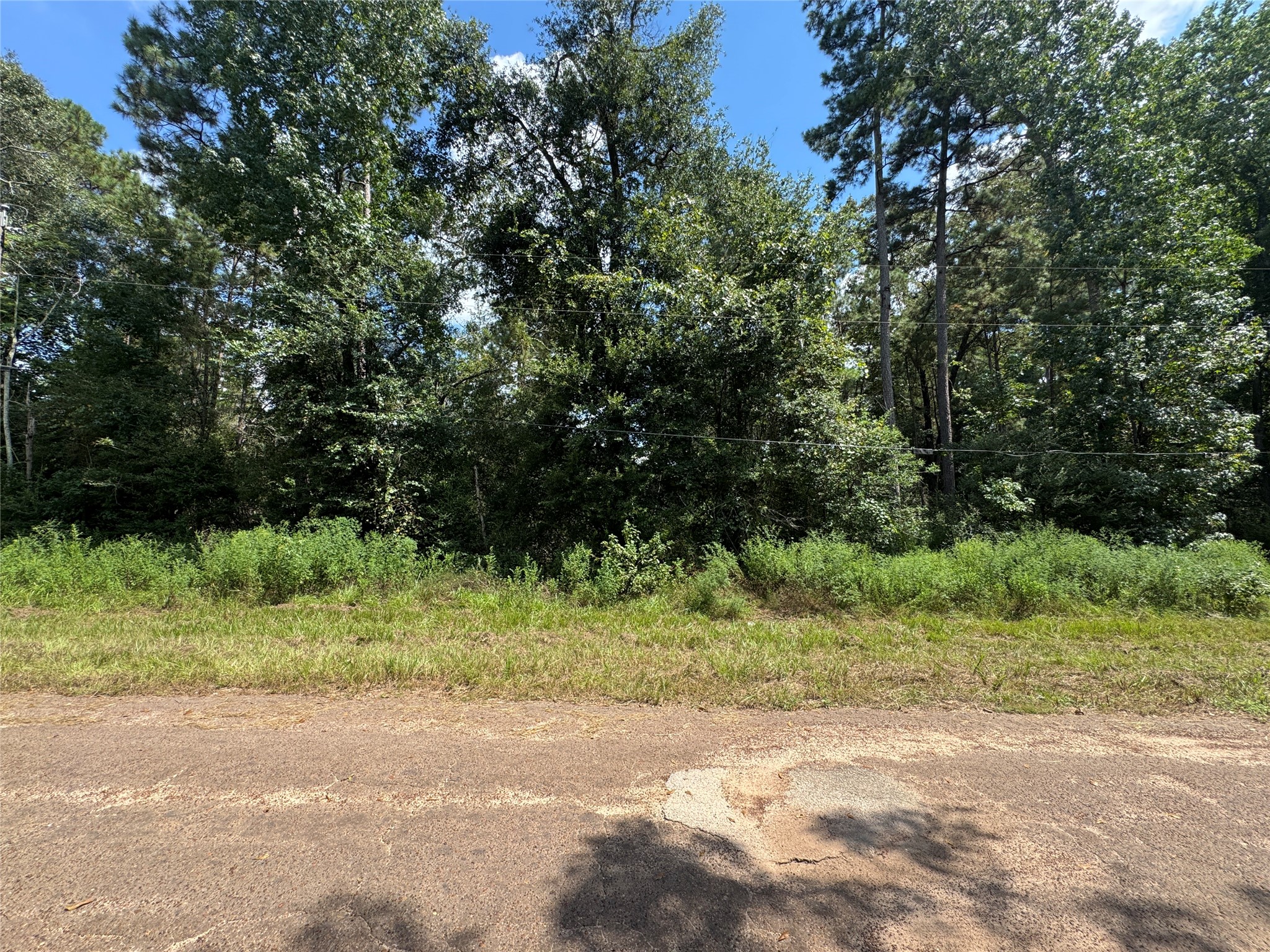 0 Mcrae Circle Property Photo 5