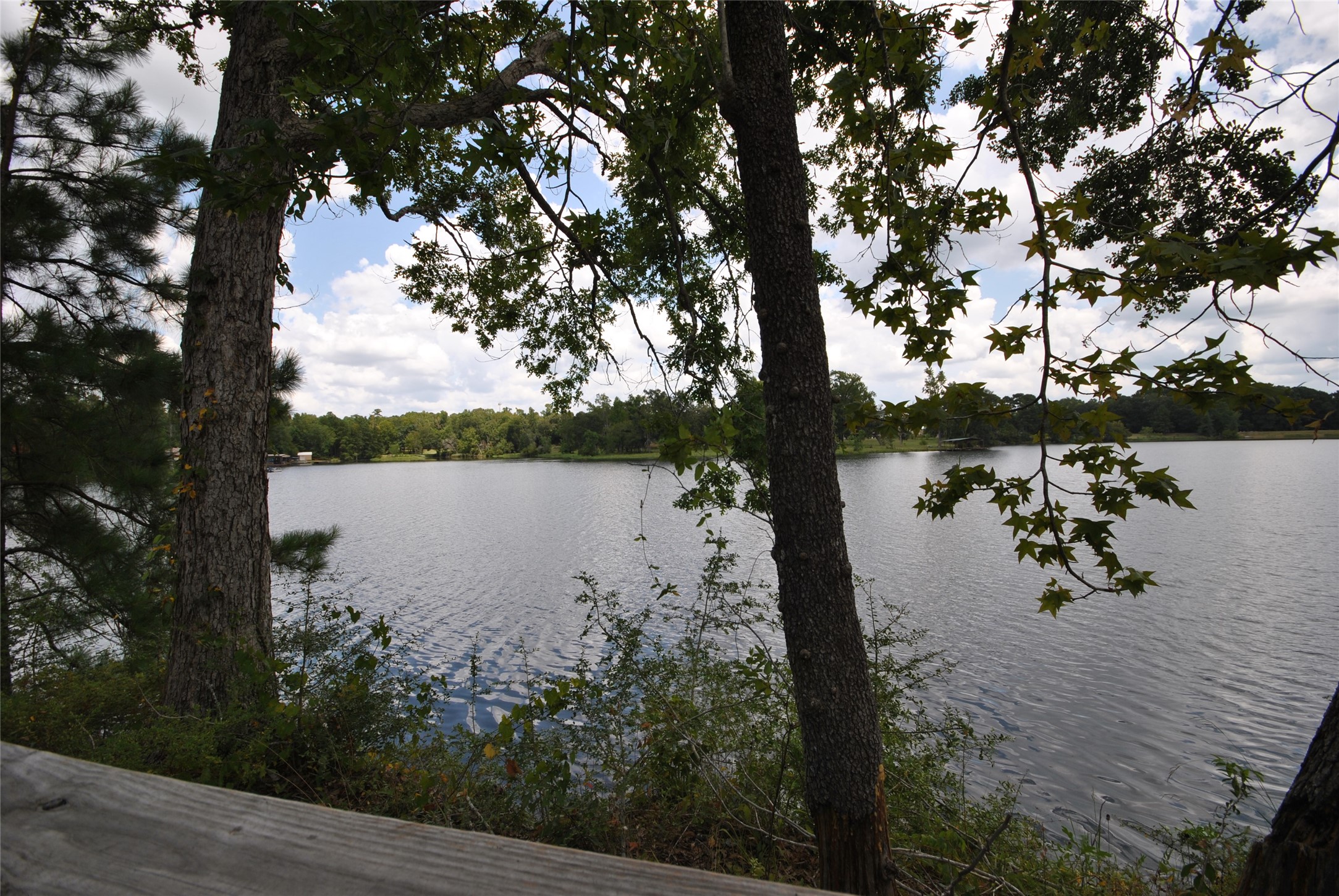 12960 Royal Shores Drive Property Photo 1