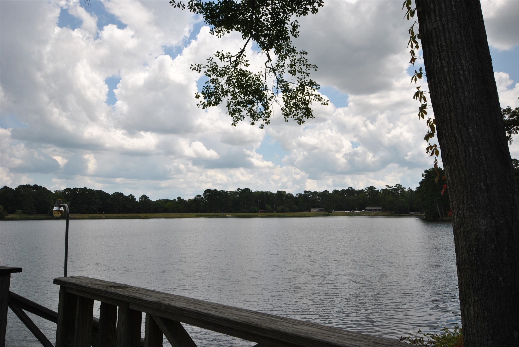 12960 Royal Shores Drive Property Photo 2