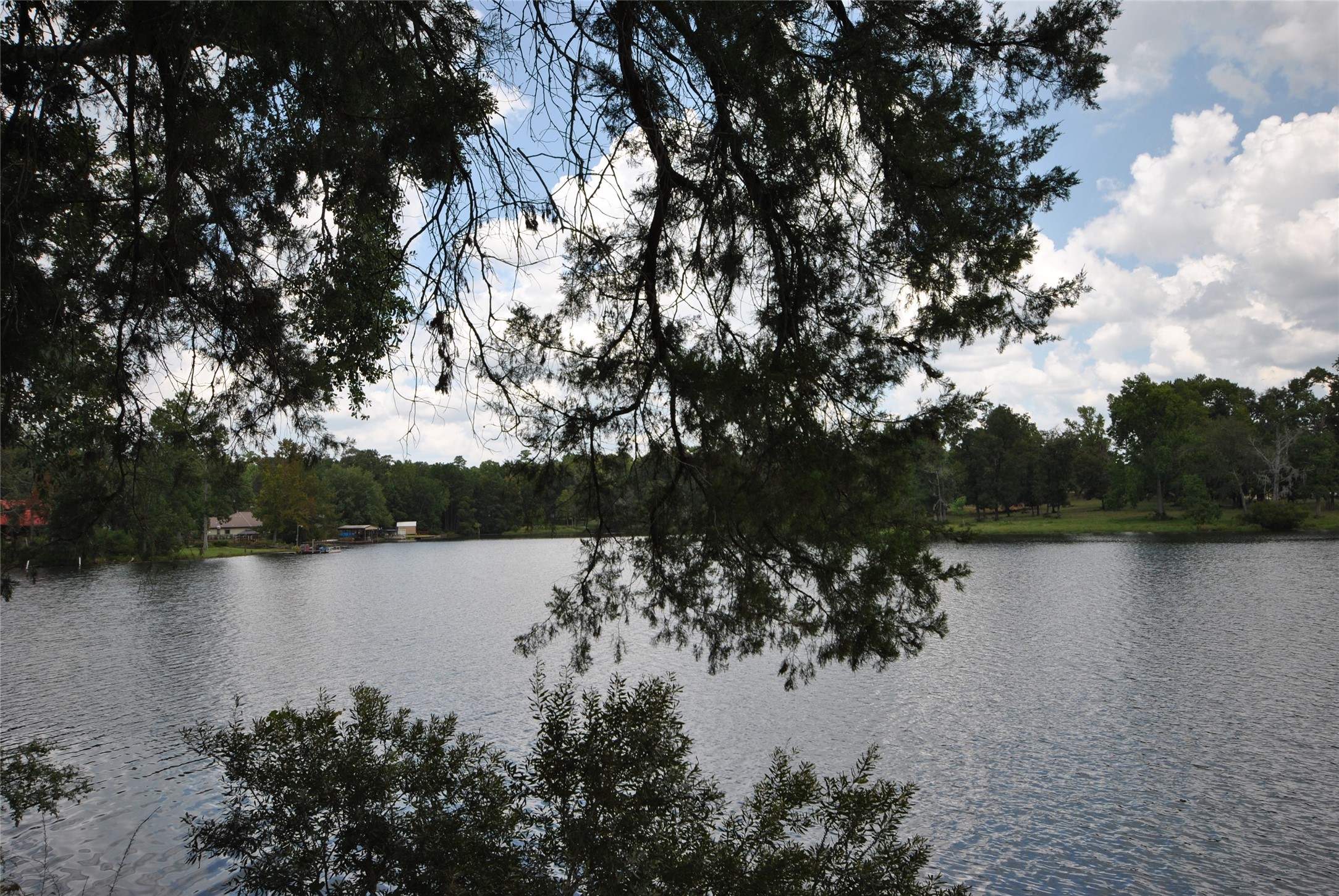12960 Royal Shores Drive Property Photo 3