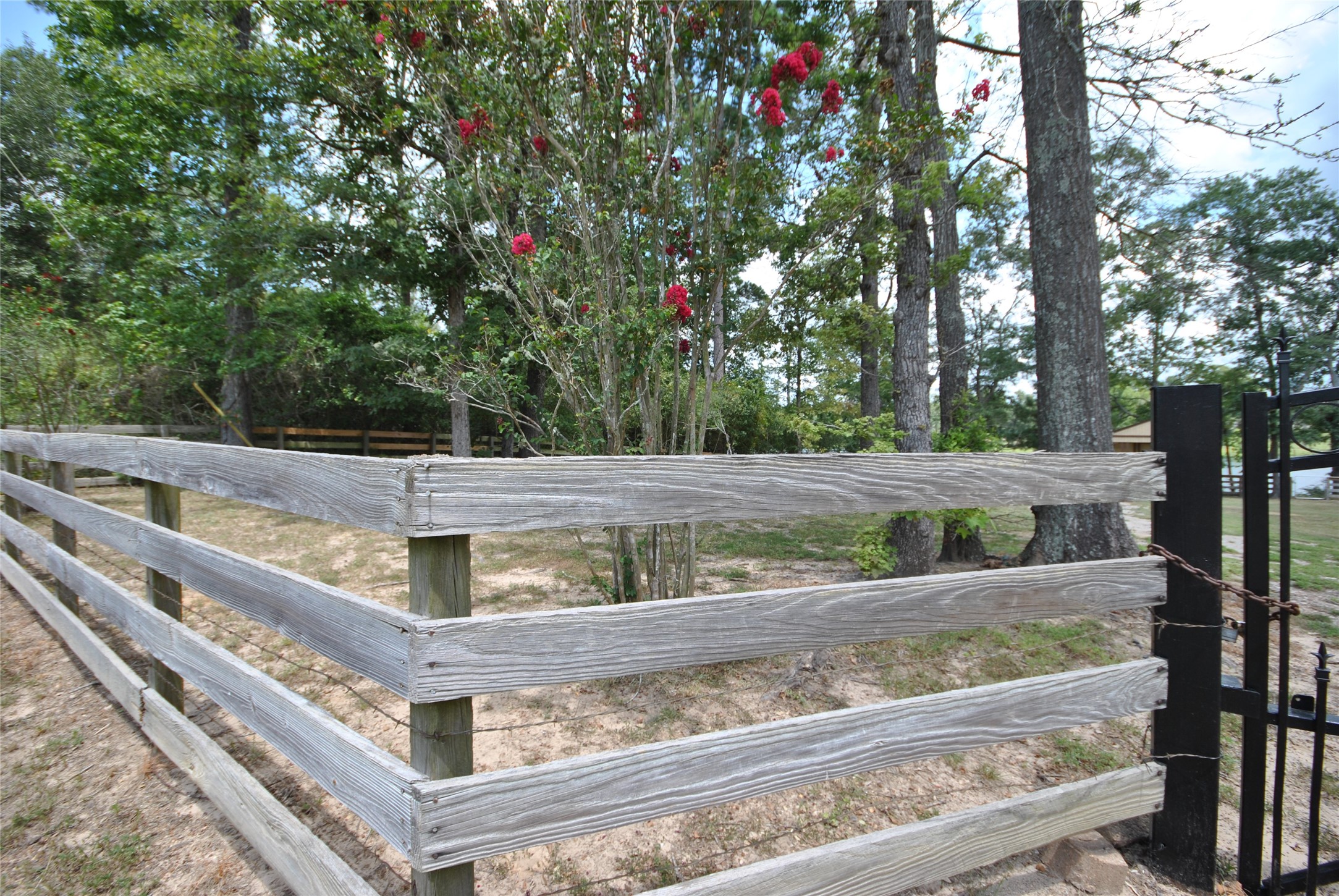 12960 Royal Shores Drive Property Photo 5