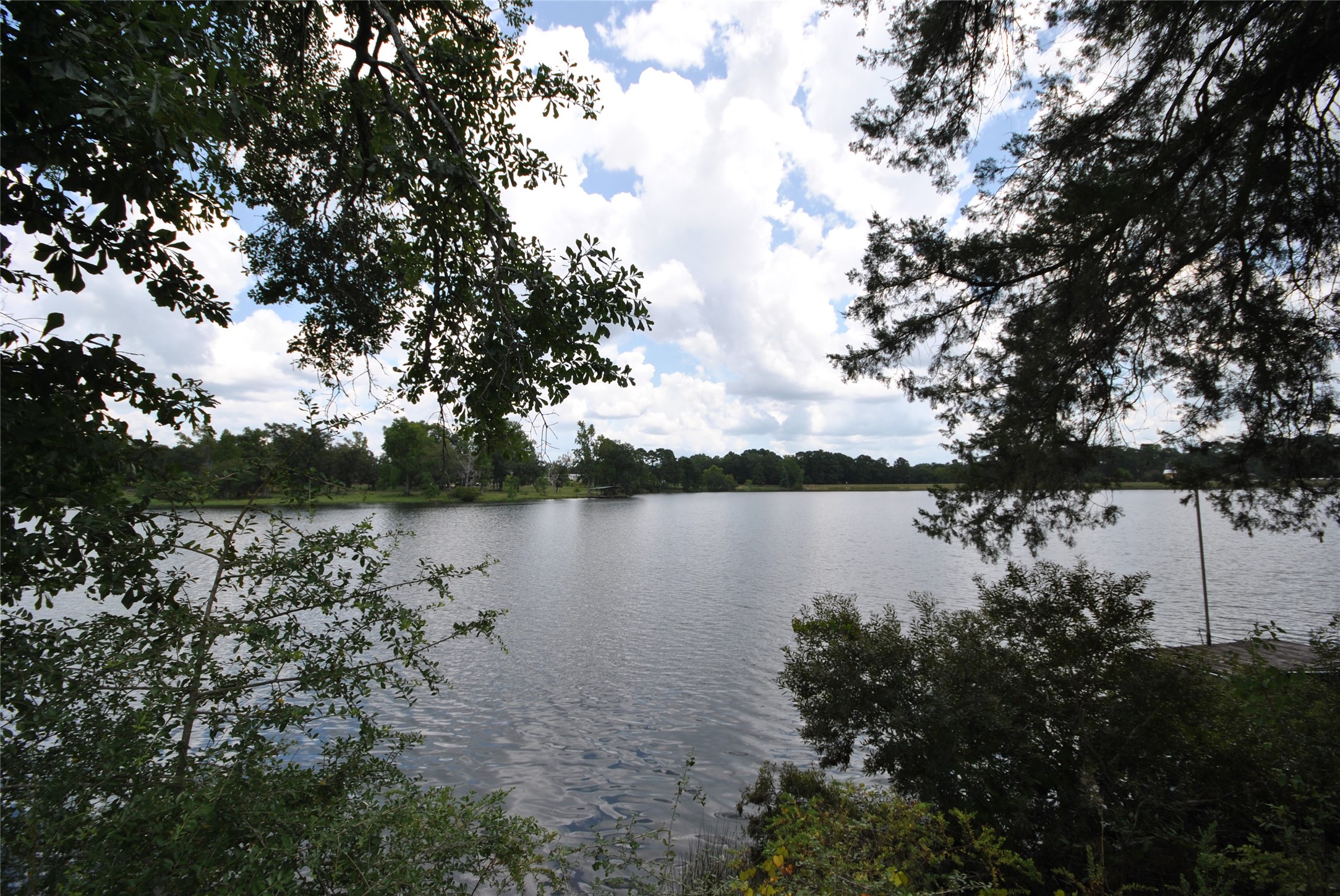 12960 Royal Shores Drive Property Photo 11