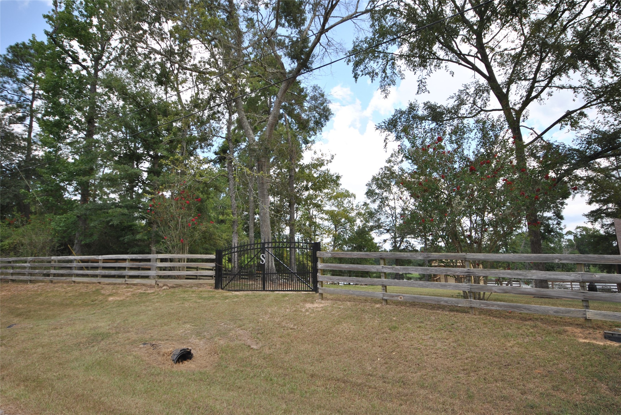 12960 Royal Shores Drive Property Photo 14