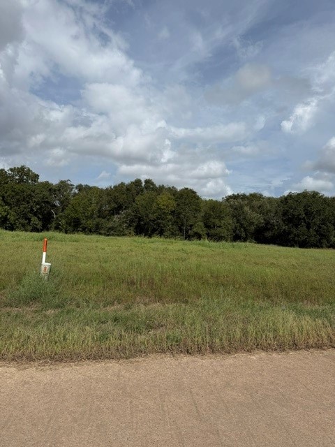 1032 Chuckwagon Trail Property Photo 1
