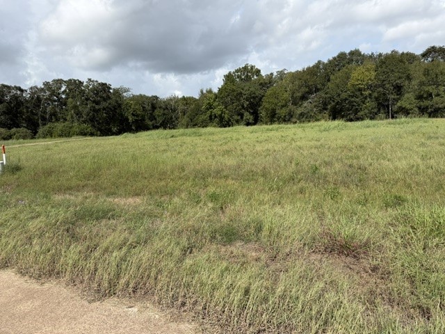 1032 Chuckwagon Trail Property Photo 2