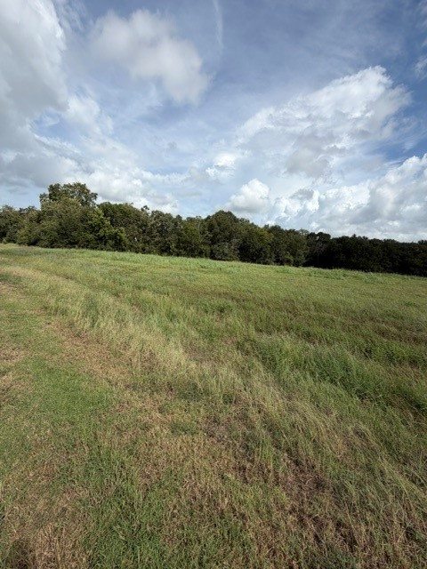 1032 Chuckwagon Trail Property Photo 3