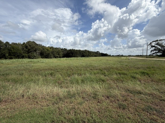 1032 Chuckwagon Trail Property Photo 4